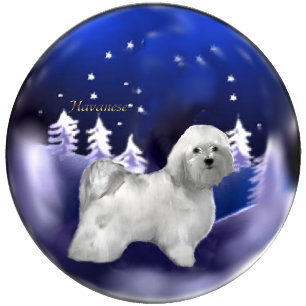 Havanese Christmas Gifts Holiday Card