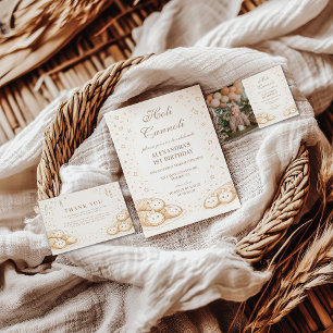 Holi Cannoli Sweet Bakery 1st Birthday Paper Plate