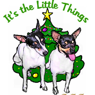 Toy Fox Terrier Christmas Gifts Holiday Card