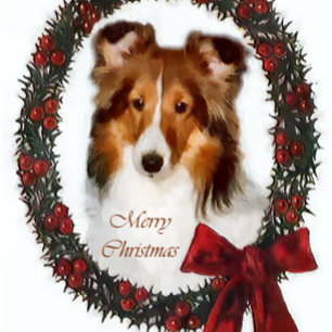 Shetland Sheepdog Sheltie Christmas Gifts Holiday Card