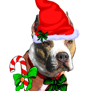 American Pit Bull Terrier Christmas Holiday Card