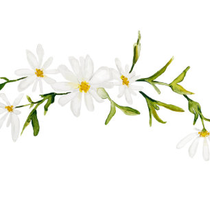 Aquarelle marguerite Faire-part de mariage floral 