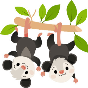 Cute It’s My Day Woodland Opossum Birthday T-Shirt