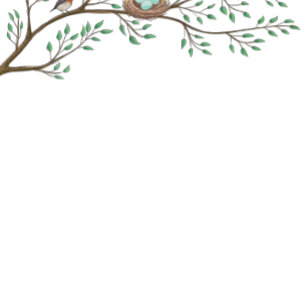 Invitation Robin Bird Spring Baby shower Co-Ed Genre Neutre