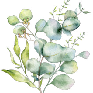 Papier Eucalyptus Fête des mariées Jeu de Bingo