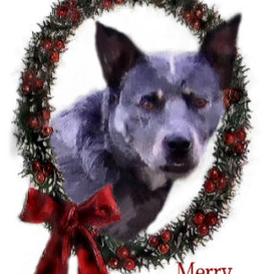 Australian Cattle Dog Christmas Gifts Holiday Card