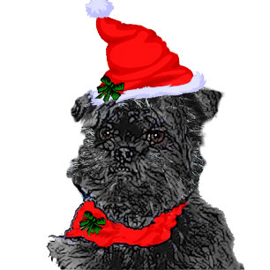 Affenpinscher Christmas Cards Personalized