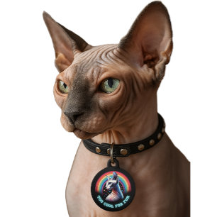 Médaillon Pour Animaux Drôle Jésus Décevant Vous Tous Chat