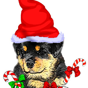 Rottweiler Christmas Merry Holiday Card