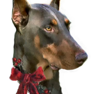 Doberman Pinscher Christmas Holiday Card