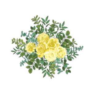 Light Yellow Peony Rose Floral Information Card