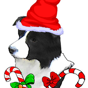 Cute Border Collie Christmas Holiday Card