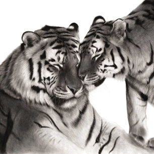 Tenture Art de l'amour des tigres - Décoration de faune pe