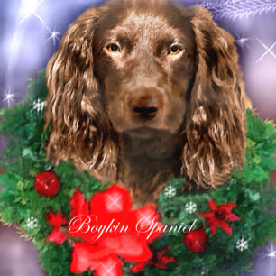 Boykin Spaniel Christmas Gifts Holiday Card