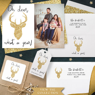 Oh Deer, What A Year! Funny Christmas Photo Holiday Card