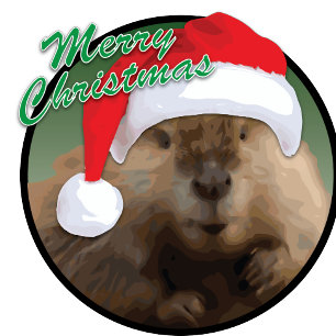 Christmas Beaver - Greeting Card, Standard Holiday Card