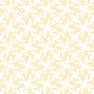 Princess Sparkles 5e Invitation anniversaire