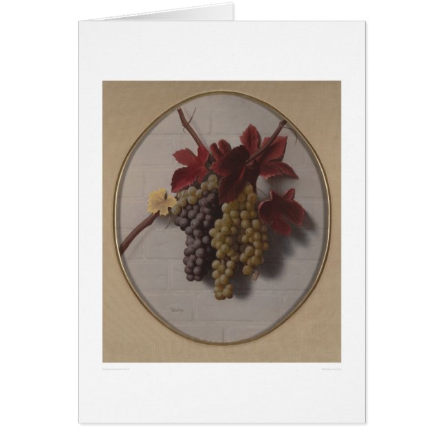 Swag of Grapes (1363) (Front)