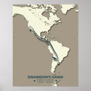 Swainson’s Hawk Migration Map – Minimalist Vintage Poster