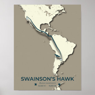 Swainson’s Hawk Migration Map – Minimalist Vintage Poster