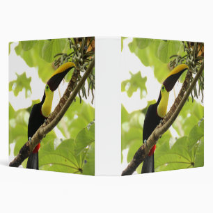 Swainson Toucan Exotic Bird Binder