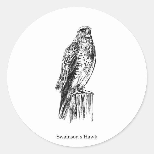 Swainson's Hawk Logo (perched) Classic Round Sticker (Front)