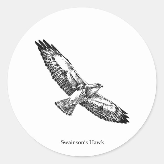 Swainson's Hawk Logo (titled) Classic Round Sticker (Front)