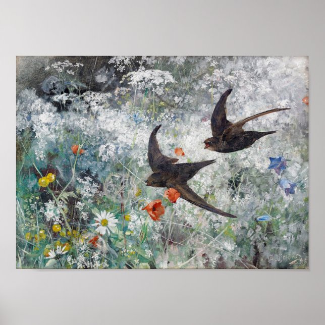 Swallow and Flower Field, Bruno Liljefors Poster (Front)