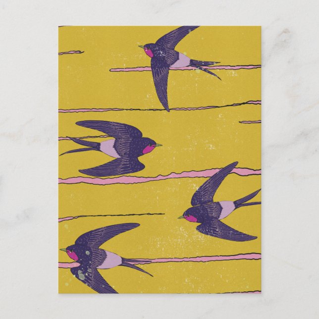 Swallow Birds Postcard (Front)