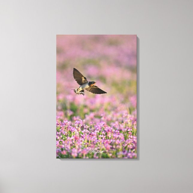 Swallow & Chinese milk vetch Canvas Print (Front)