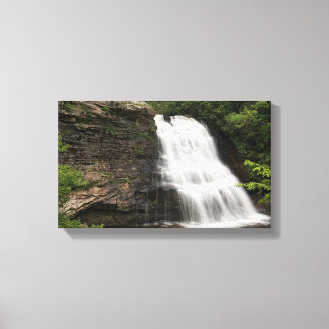Swallow Falls, Maryland Canvas Print (Front)