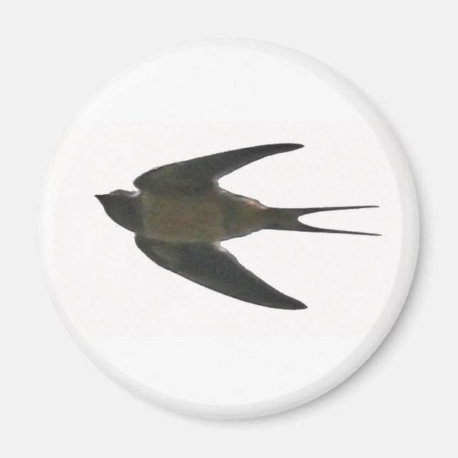 Swallow Magnet (Front)