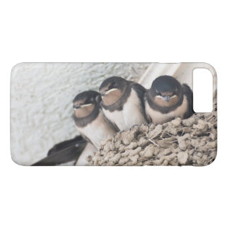 Swallow nestlings sitting in nest Case-Mate iPhone case