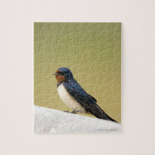 Swallow on a Wooden Ledge Jigsaw Puzzle