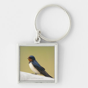 Swallow on a Wooden Ledge Keychain
