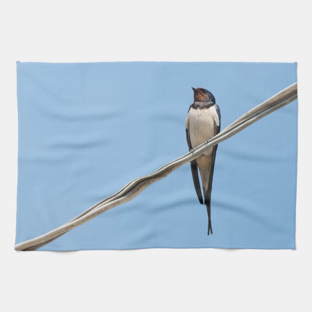 Swallow sitting on wire kitchen towel (Horizontal)