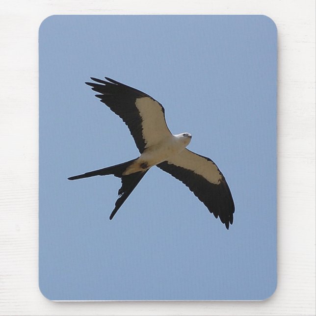 Swallow Tail Kite Mouse Pad (Front)