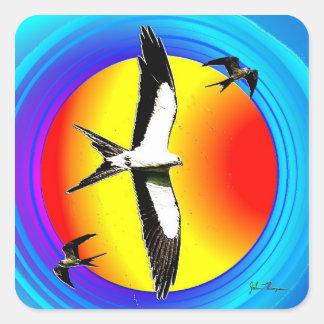 Swallow Tail Kite stickers