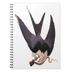 Swallow Tailed Hawk with Snake Vintage Audubon Notebook