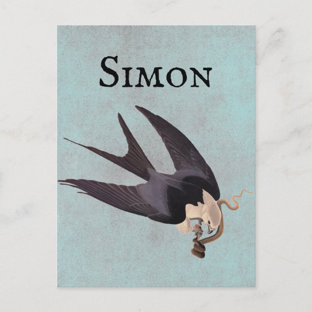 Swallow Tailed Hawk with Snake Vintage Audubon Postcard (Front)