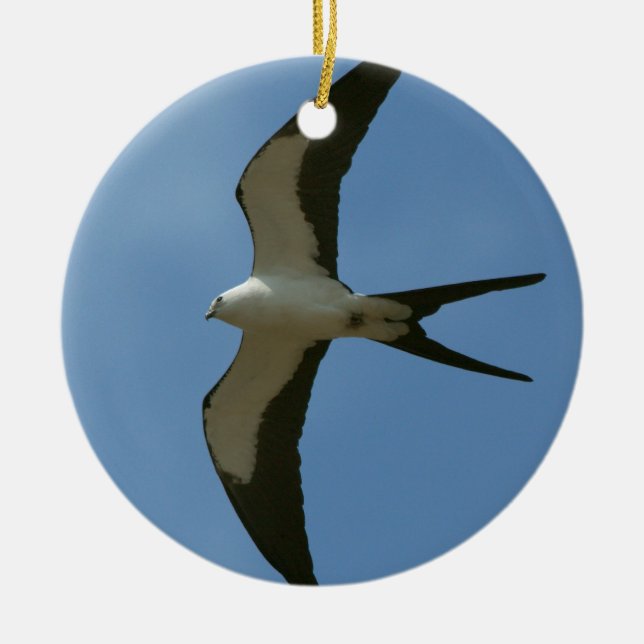Swallow-tailed Kite Ceramic Ornament (Front)