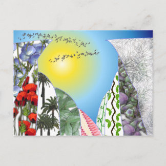 Swallows Postcard