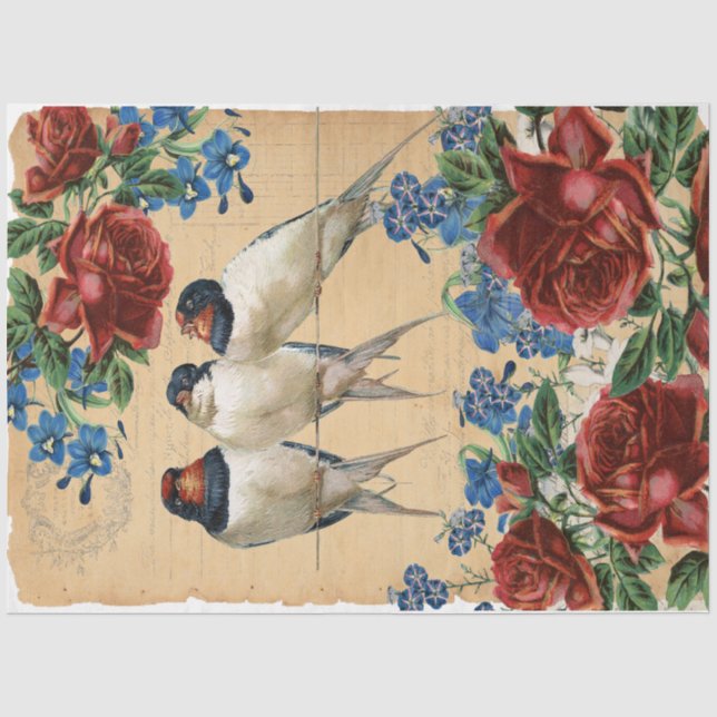 Swallows Tissue Paper (Front)