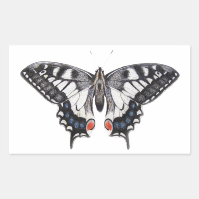 Swallowtail 2012 sticker (Front)