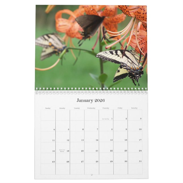 Swallowtail Butterflies, 2009 Calendar (Jan 2026)