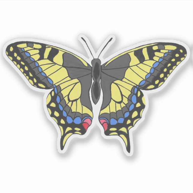 Swallowtail Butterfly (Front)