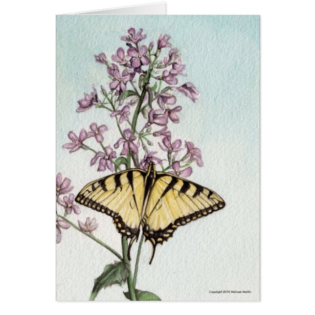 Swallowtail Butterfly by Michael Martin (Front)