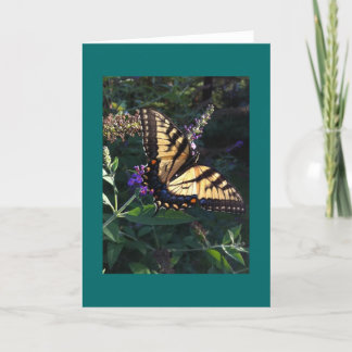 Swallowtail Butterfly Card