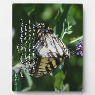 Swallowtail Butterfly Flower Bible Photo Plaque