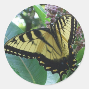 Swallowtail Butterfly I on Milkweed at Shenandoah Classic Round Sticker